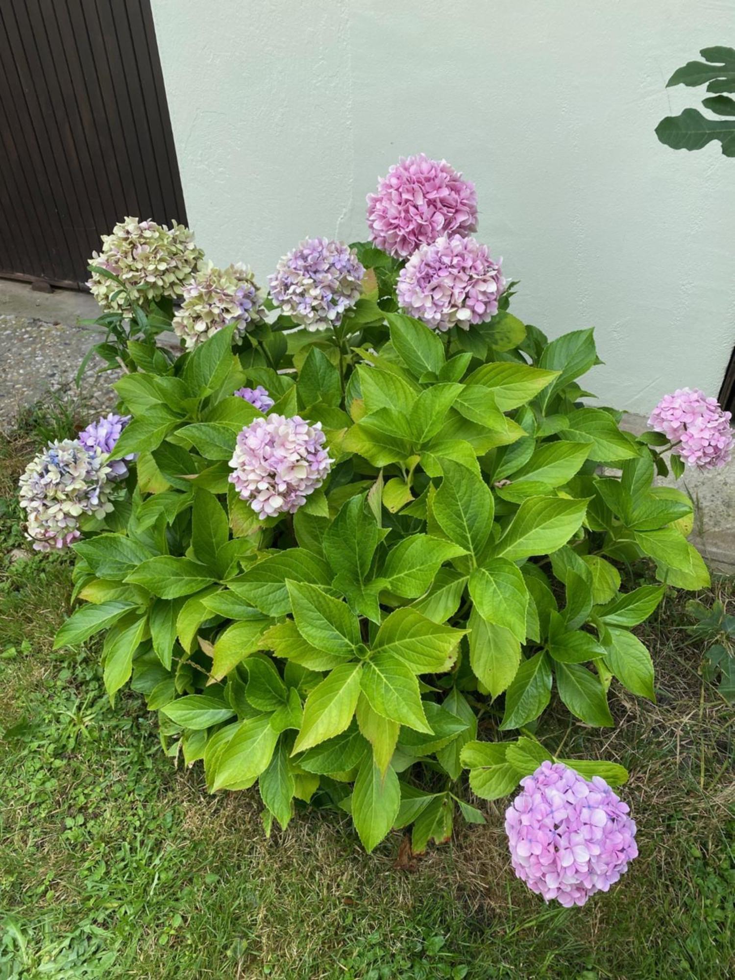 Appartement Avec Jardin 勒波日 外观 照片